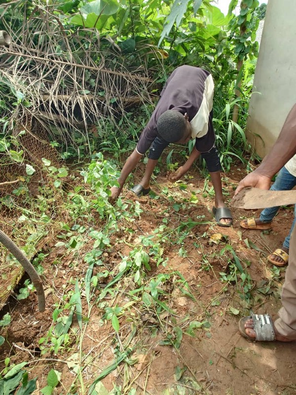 Fête de l'arbre 2026 au Cameroun