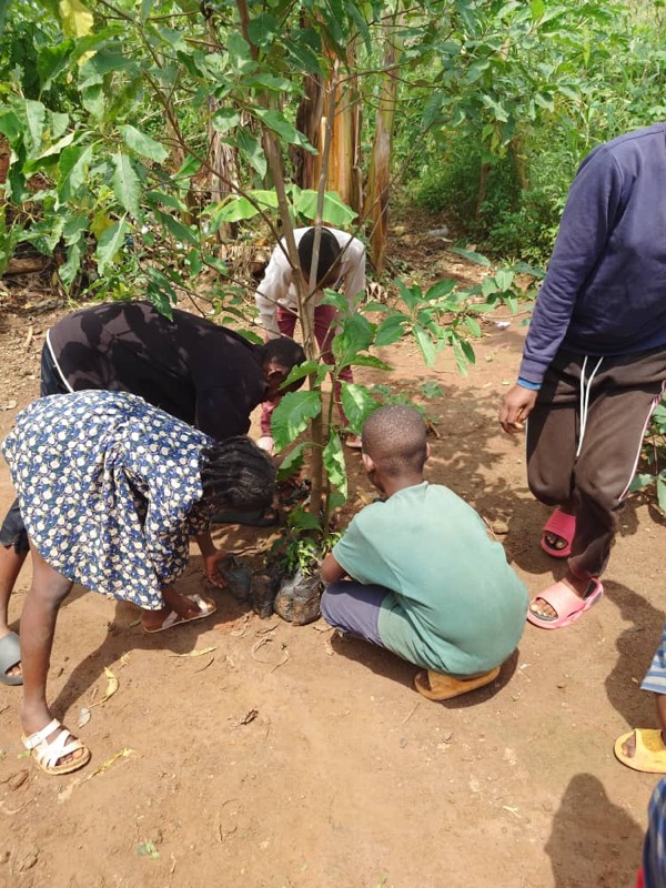 Fête de l'arbre 2026 au Cameroun