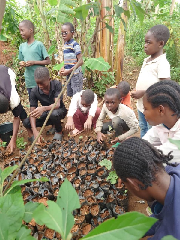 Fête de l'arbre 2026 au Cameroun