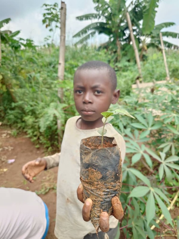 Fête de l'arbre 2026 au Cameroun