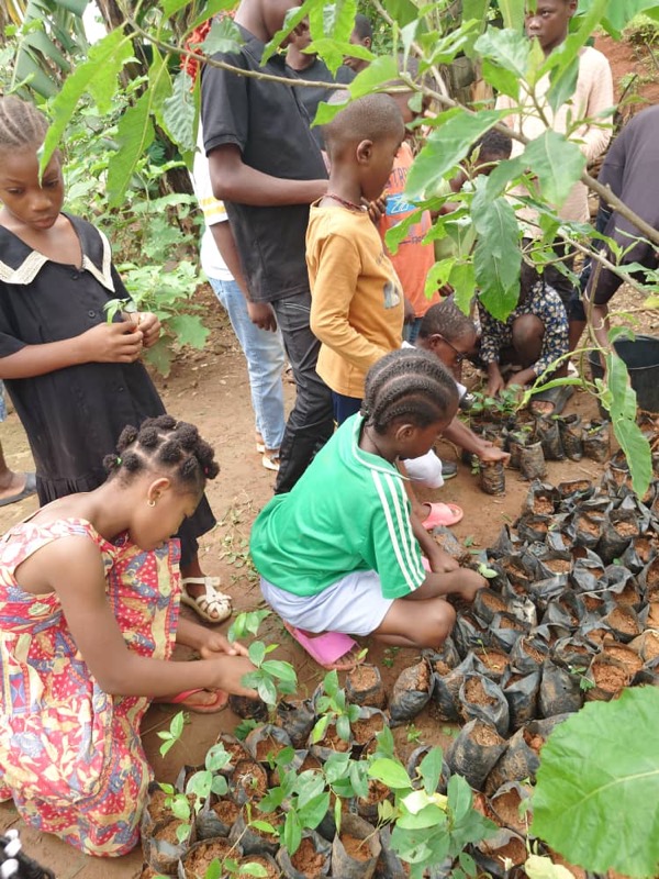 Fête de l'arbre 2026 au Cameroun