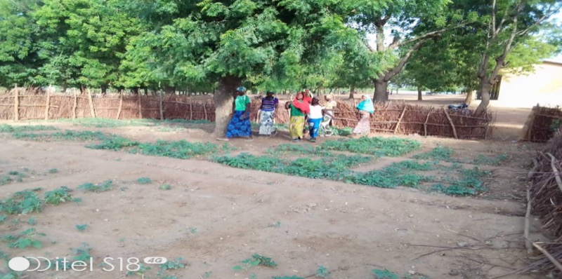 Synécoculture au Cameroun