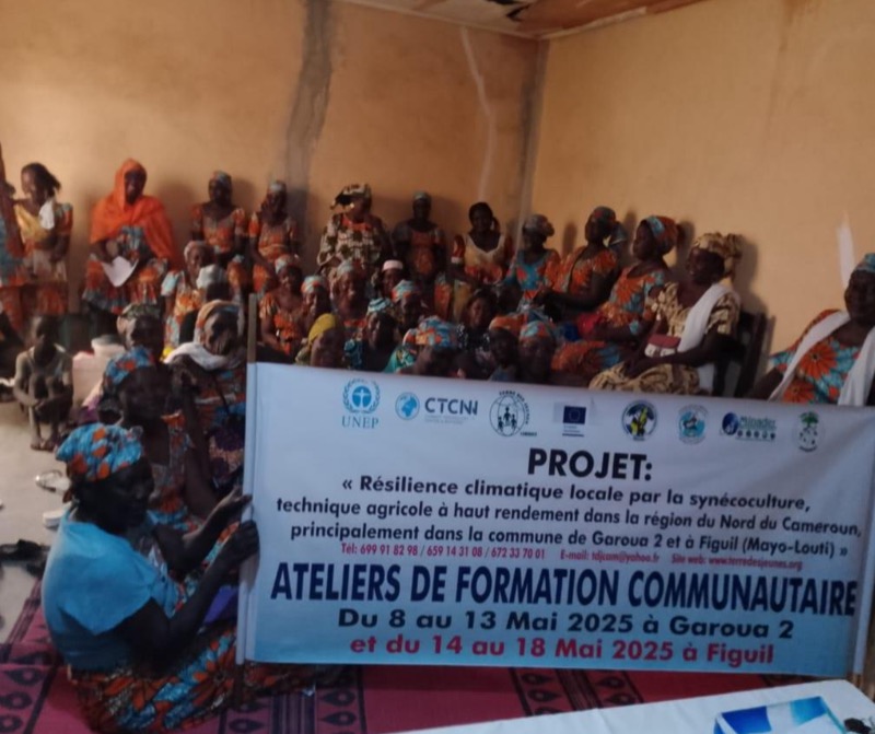 Synécoculture au Cameroun