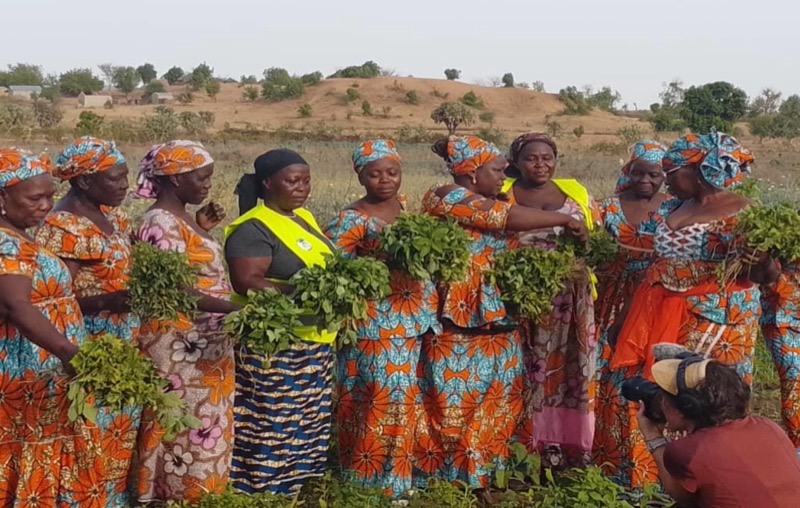 Synécoculture au Cameroun