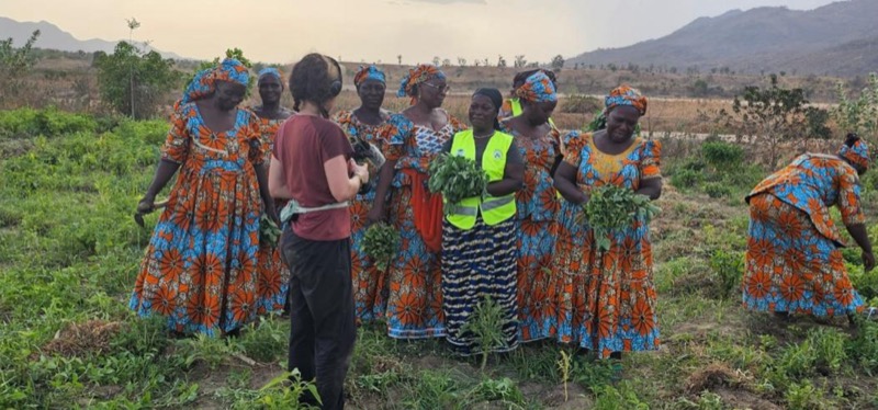 Synécoculture au Cameroun