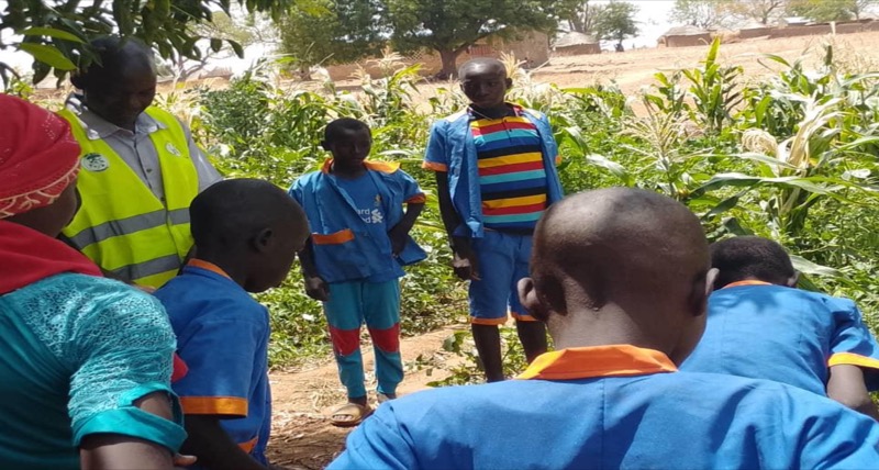 Synécoculture au Cameroun