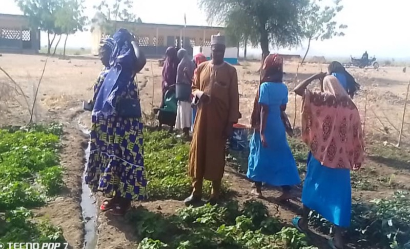 Synécoculture au Cameroun