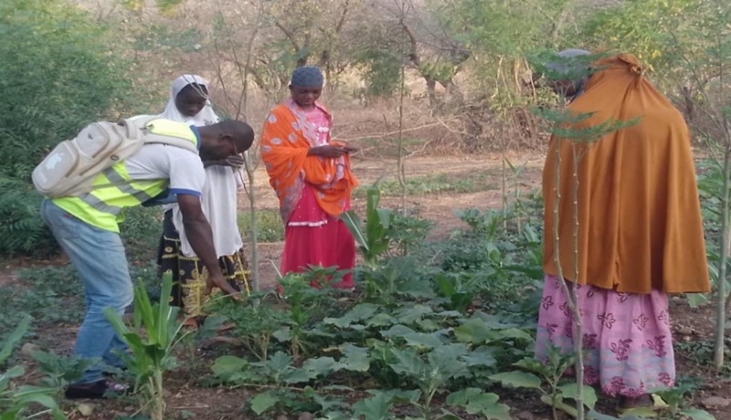 Synécoculture au Cameroun