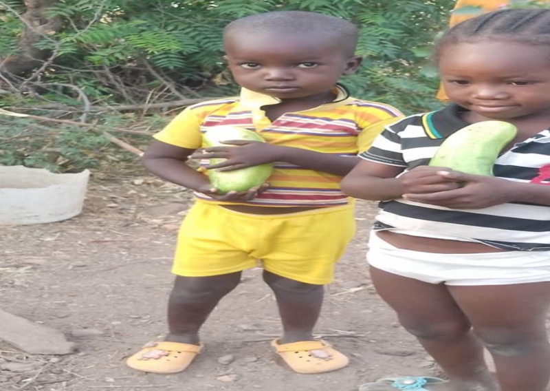 Synécoculture au Cameroun