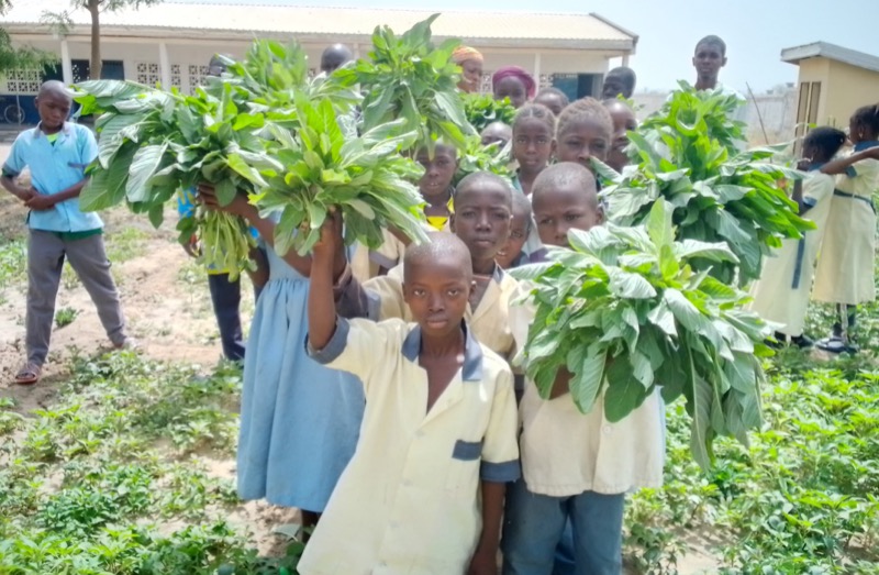 Synécoculture au Cameroun