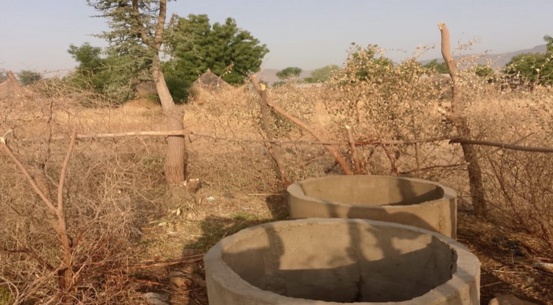 Synécoculture au Cameroun