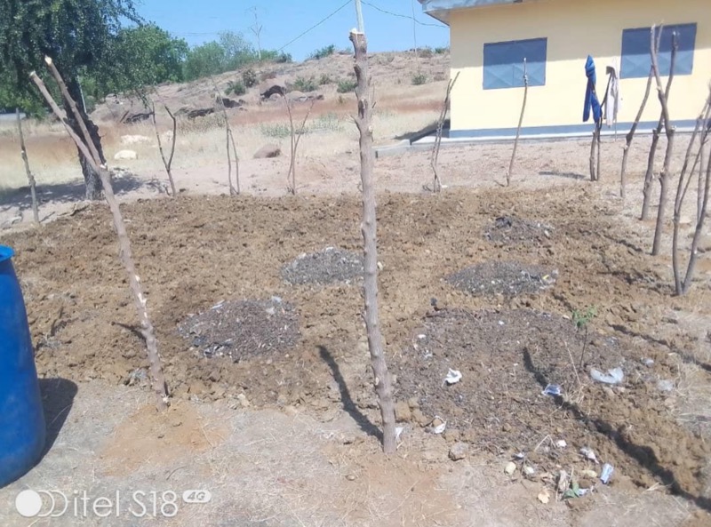 Synécoculture au Cameroun