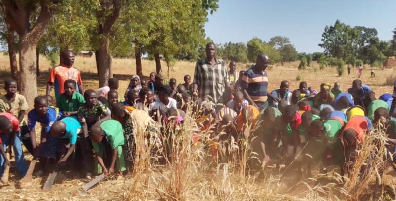 Synécoculture au Cameroun