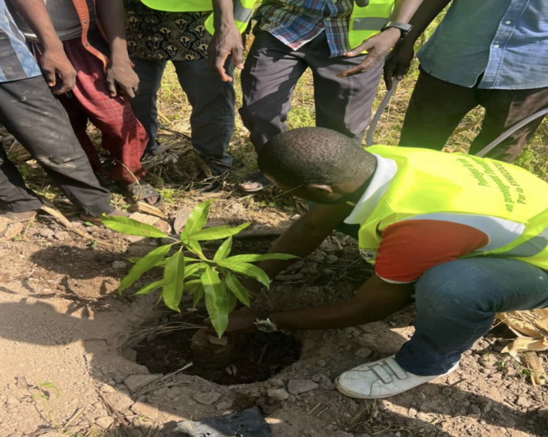 Synécoculture au Cameroun