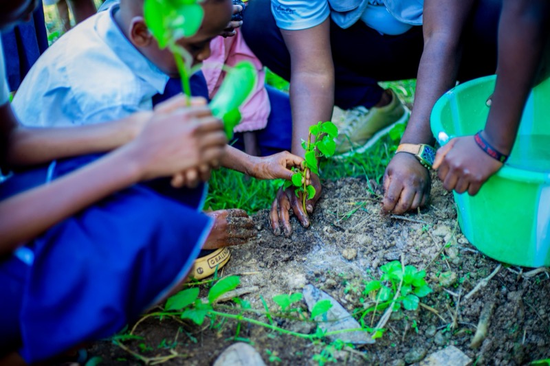 Fête de l'arbre 2026 en RD Congo