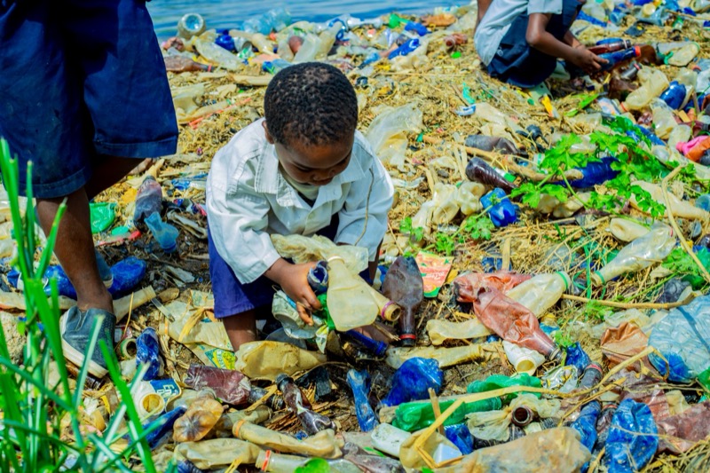 Fête de l'arbre 2026 en RD Congo
