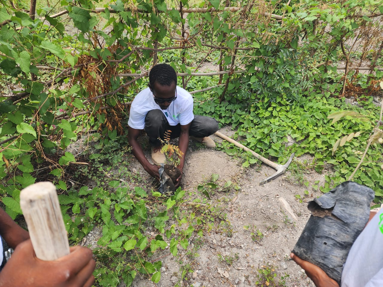 Terre des jeunes Gonaïves célèbre le 40e!