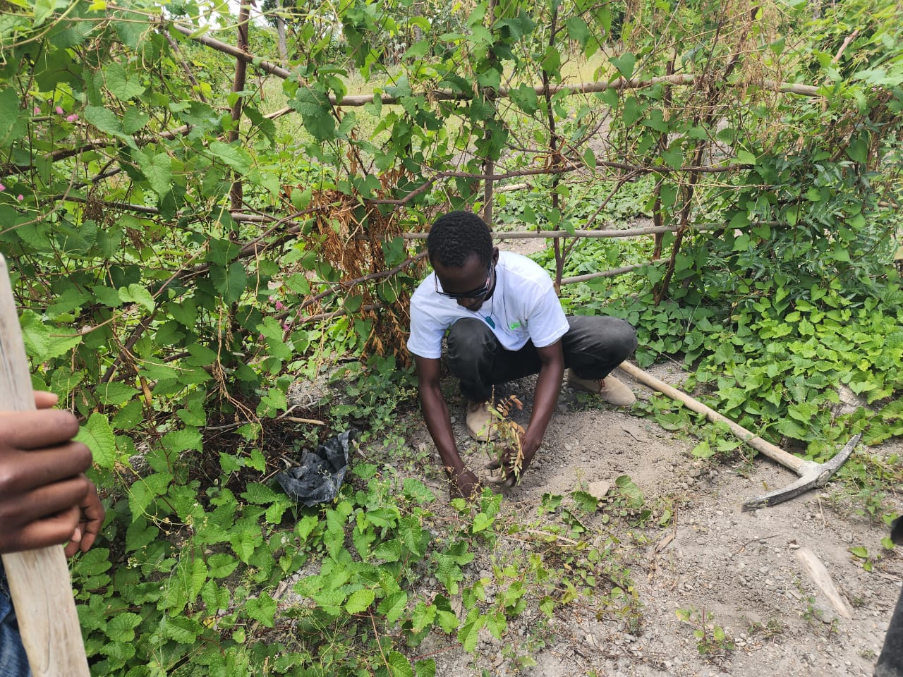 Terre des jeunes Gonaïves célèbre le 40e!