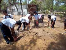 Nicaragua: nouvelle antenne et plantation dans une école