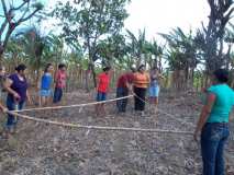 Nicaragua: nouvelle antenne et plantation dans une école