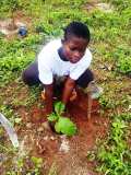 ECOLO ECOLE dans les Régions du TOGO 