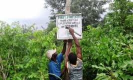 La création de la forêt pilote sur le site de l'Ecovillage de Tsiviépé OUI C'EST POSSIBLE !!! 