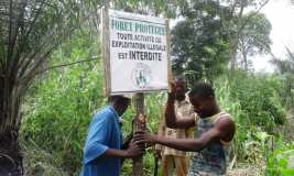 La création de la forêt pilote sur le site de l'Ecovillage de Tsiviépé OUI C'EST POSSIBLE !!! 