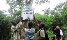 La création de la forêt pilote sur le site de l'Ecovillage de Tsiviépé OUI C'EST POSSIBLE !!! 