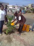 La Terre des Jeunes Togo marque le plus grand boulevard de la Capitale 