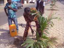 La Terre des Jeunes Togo marque le plus grand boulevard de la Capitale 