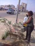 La Terre des Jeunes Togo marque le plus grand boulevard de la Capitale 