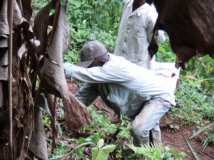 La route du camp Chantier continue pou la TDJ TOGO 