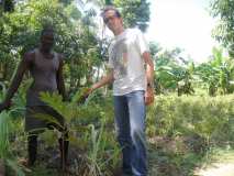 Gonaïves: suivi des arbres plantes