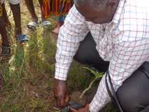 FEDA 2014 ETAPE DE DABOU /22 MAI AU GROUPE SCOLAIRE YACEE ET SOGEPHIA 1 & 2