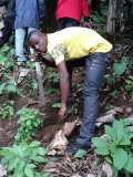 La Terre des Jeunes Togo sur la route d'une autre histoire 