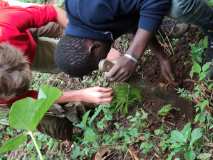 La Terre des Jeunes Togo sur la route d'une autre histoire 