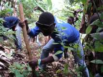 La Terre des Jeunes Togo sur la route d'une autre histoire 