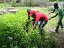 Action d'été avec les Volontaire aux Gonaives