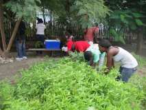 Action d'été avec les Volontaire aux Gonaives