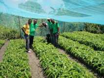 Terre des jeunes Gonaïves en visite à TDJ Saint-Marc