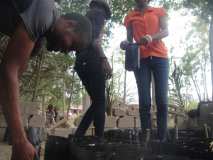 Une Fête de l'arbre aux Gonaïves (Haïti) avec la relève!