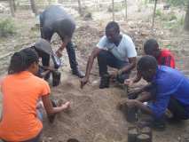 Une Fête de l'arbre aux Gonaïves (Haïti) avec la relève!