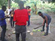 Une Fête de l'arbre aux Gonaïves (Haïti) avec la relève!