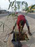 La Terre des Jeunes Togo marque le plus grand boulevard de la Capitale 