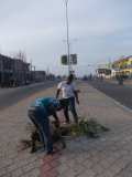 La Terre des Jeunes Togo marque le plus grand boulevard de la Capitale 