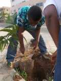 La Terre des Jeunes Togo marque le plus grand boulevard de la Capitale 