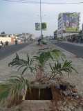 La Terre des Jeunes Togo marque le plus grand boulevard de la Capitale 