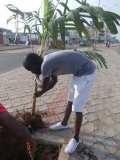 La Terre des Jeunes Togo marque le plus grand boulevard de la Capitale 