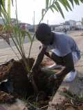 La Terre des Jeunes Togo marque le plus grand boulevard de la Capitale 