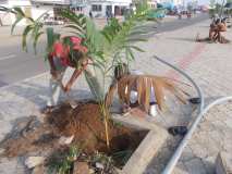 La Terre des Jeunes Togo marque le plus grand boulevard de la Capitale 